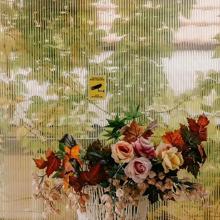 Light House Lejlighed *