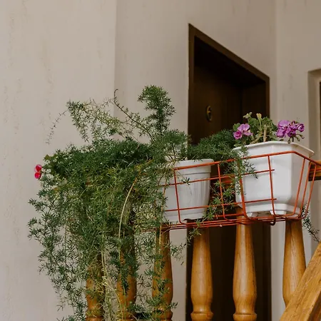 Lejlighed Light House