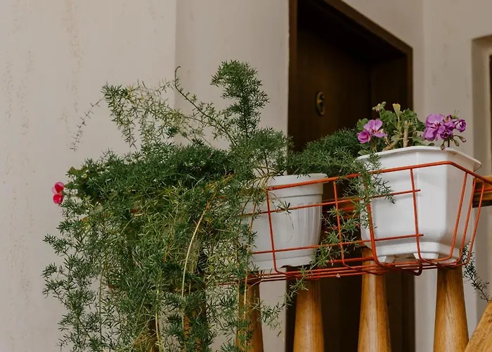 아파트 Light House